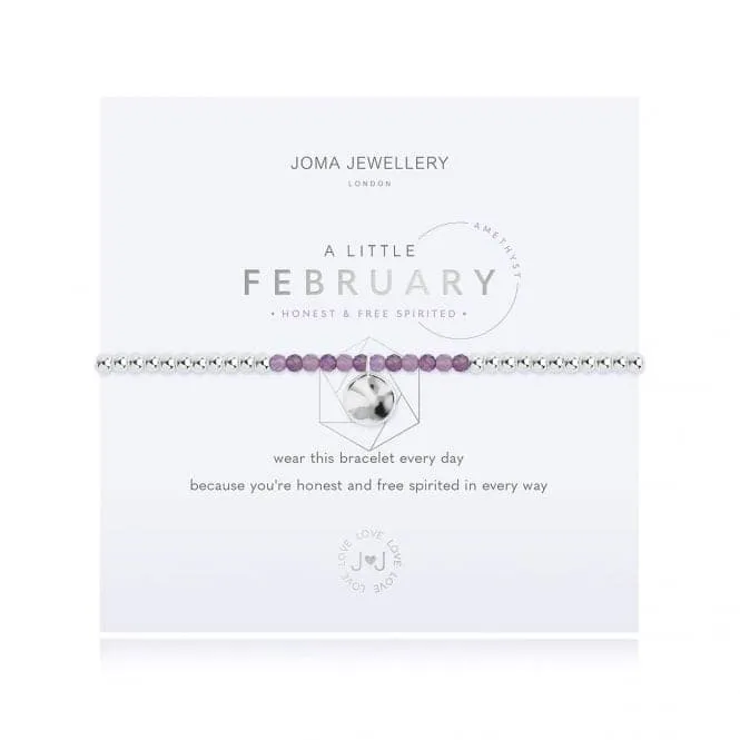 A Little Birthstone February Amethyst Silver 17.5cm Stretch Bracelet 3461