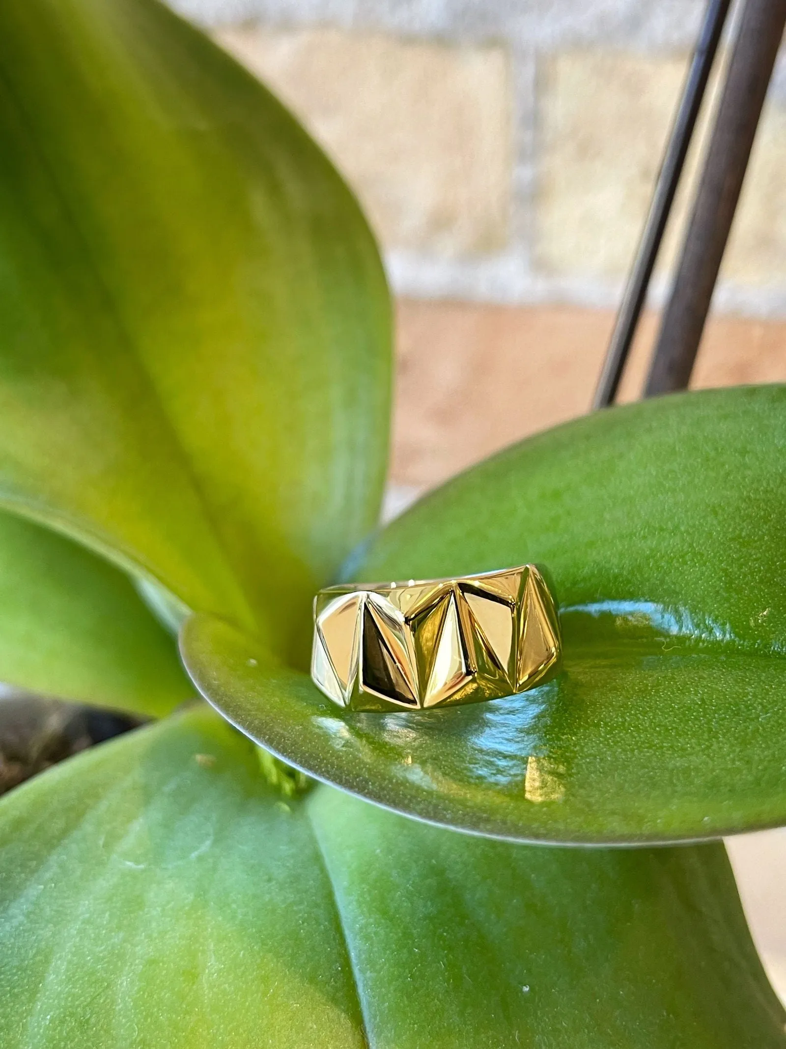 Geometric Ring