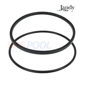 Jandy Lid O-Ring For ePump and Stealth Pumps | R0446200