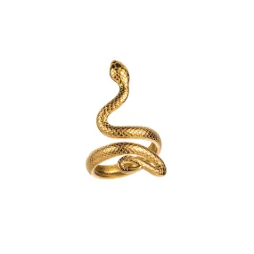 Stainless steel retro classic texture ring-Snake